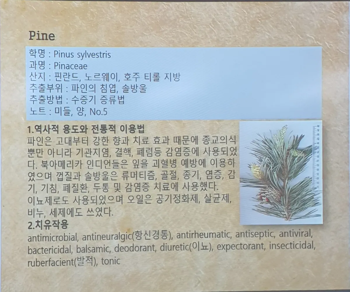 원광대학교 아로마테라피 수업 — 에센셜오일 화학 구성 강의